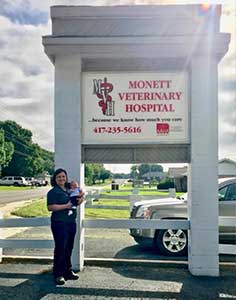Monett Veterinary Hospital Highlights Comprehensive Cat Boarding Services for Aurora, Missouri Area